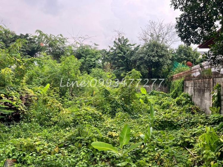 ขายที่ดิน 221ตร.วา ซอยเกศินีวิลล์ 20 หมู่บ้านเกศินีวิลล์  ถนนประชาอุทิศ21 เขตห้วยขวาง ใกล้แยกเหม๋งจ๋ายใกล้โรงเรียนนานาชาติ K.I.S เหมาะสำหรับ รูปที่ 3