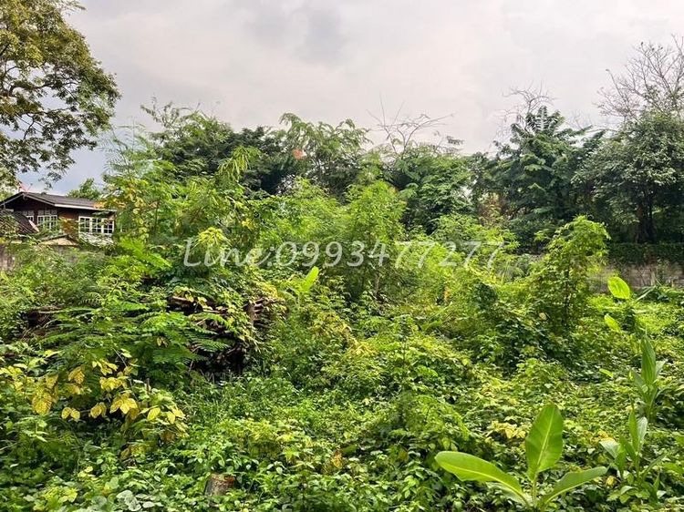 ขายที่ดิน 221ตร.วา ซอยเกศินีวิลล์ 20 หมู่บ้านเกศินีวิลล์  ถนนประชาอุทิศ21 เขตห้วยขวาง ใกล้แยกเหม๋งจ๋ายใกล้โรงเรียนนานาชาติ K.I.S เหมาะสำหรับ รูปที่ 2