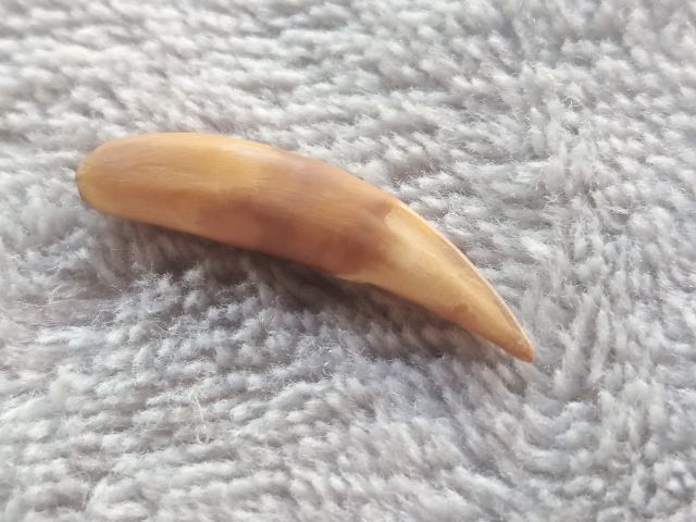 เครื่องรางไม่ทราบชนิด รูปที่ 2