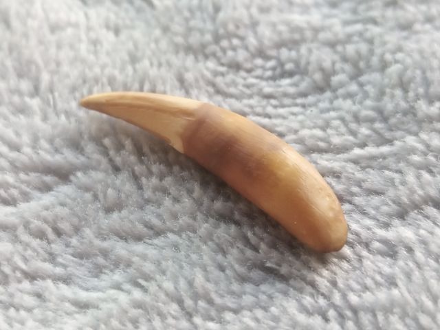 เครื่องรางไม่ทราบชนิด รูปที่ 11