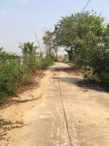 ไม่ใช่ ขายที่ดิน วิวดี ปลูกบ้านกลางทุ่งนาได้เอกสารโฉนด พื้นที่ 4.0.96 ไร่  พิกัดบ้านตอง ต ครึ่ง อ เชียงของ