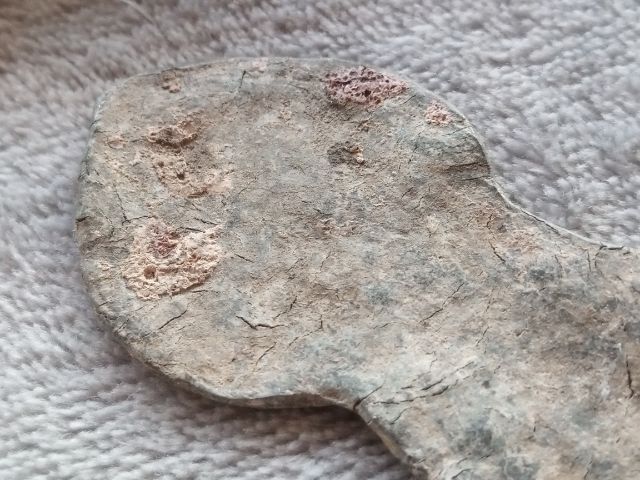 พระปรกโพธิ์ รูปที่ 16