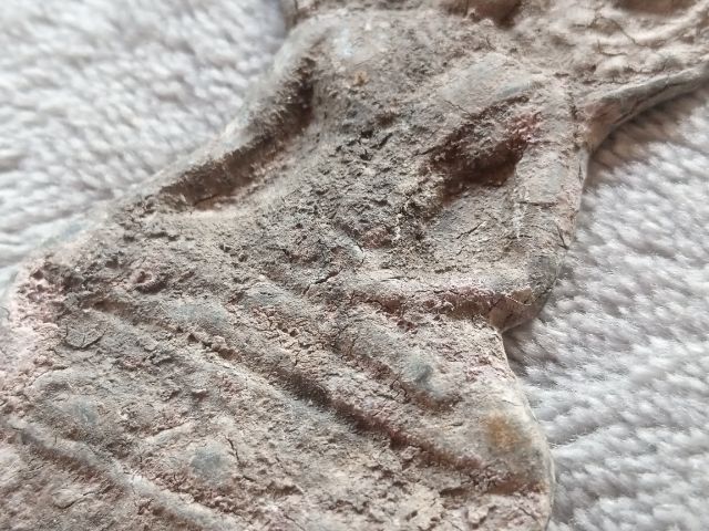 พระปรกโพธิ์ รูปที่ 7