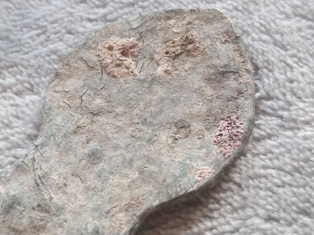 พระปรกโพธิ์ รูปที่ 14