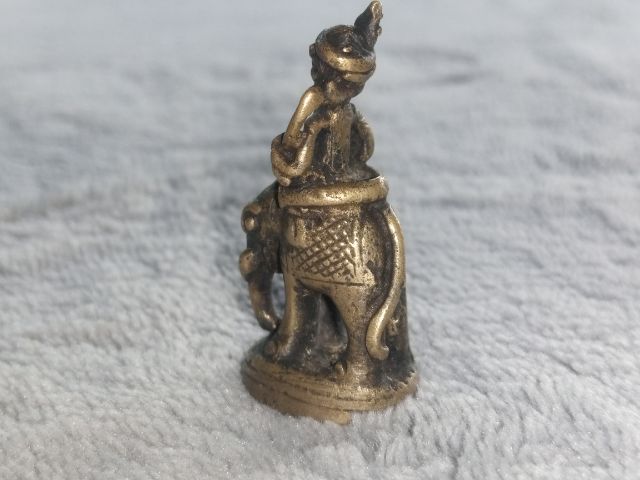 อุติ่ง รูปที่ 7