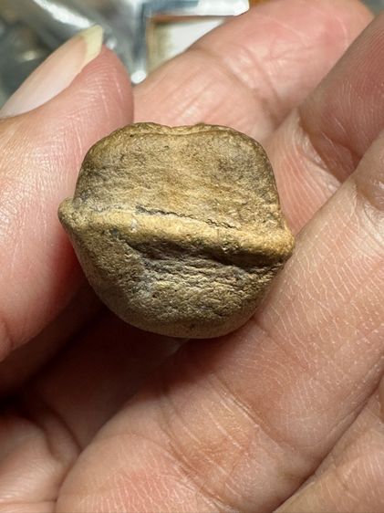 พระสุพรรณยอดโถ🙏พระถ้ำเสือ 🙏พระนางพญาไม่ทราบที่ เลี่ยมเดิมองค์ละ 1000 รูปที่ 12