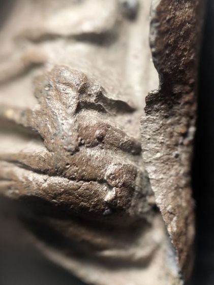 พระรอดลำพูนพิมพ์ใหญ่เนื้อเขียวครับ รูปที่ 14