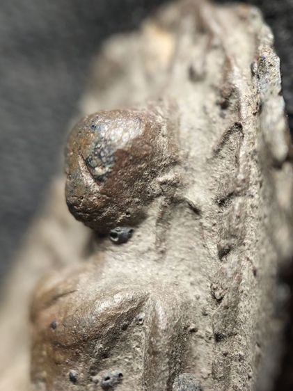 พระรอดลำพูนพิมพ์ใหญ่เนื้อเขียวครับ รูปที่ 3