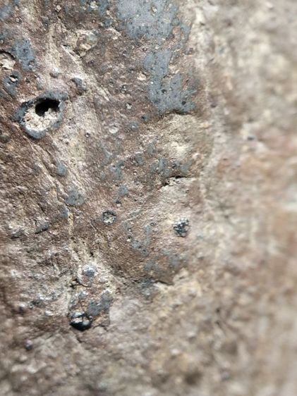 พระรอดลำพูนพิมพ์ใหญ่เนื้อเขียวครับ รูปที่ 18