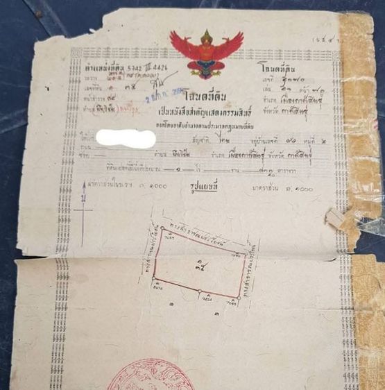 ใช่ ขายที่ดิน ตำบลหนองกุง อำเภอเมือง กาฬสินธุ์ 1ไร่ 83ตารางวา ติดถนน3ทาง 1,250,000บาท
 รูปที่ 3