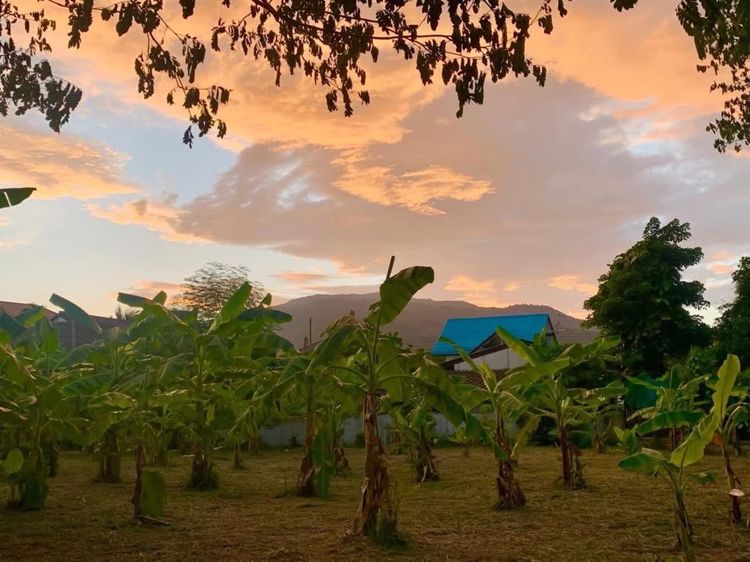 ขายที่ดินทำเลทอง หมู่บ้านช่างทอง ต.สุเทพ อ.เมืองเชียงใหม่ ใกล้มหาวิทยาลัยเชียงใหม่ หลัง มช. รูปที่ 4