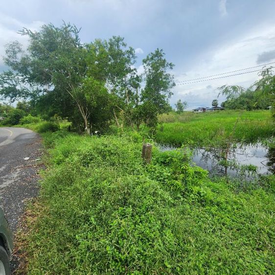 ใช่ ขายที่ดินติดถนนดำ66ตร.วา บางลูกเสือ องครักษ์ นครนายก  รูปที่ 2