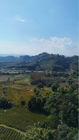 ไม่ใช่ ที่ดินวิวภูเขา เชียงแสน แม่จัน 88 ไร่ รูปที่ 3