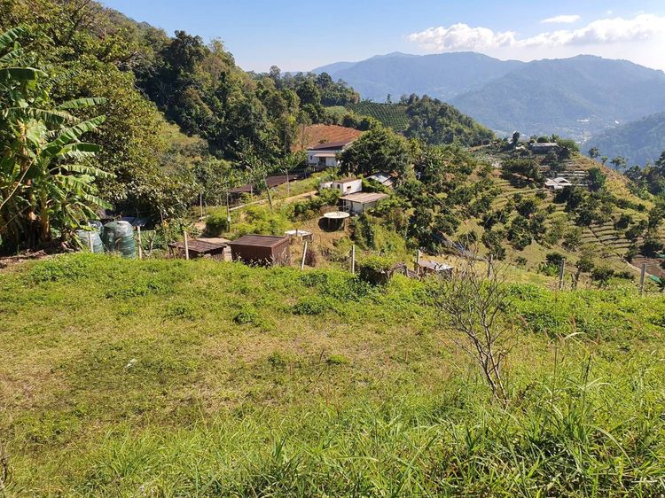 ขายที่ดินนอกเขตป่าฯ บนภูเขา ต.โป่งแยง อ.แม่ริม จ.เชียงใหม่ รูปที่ 3