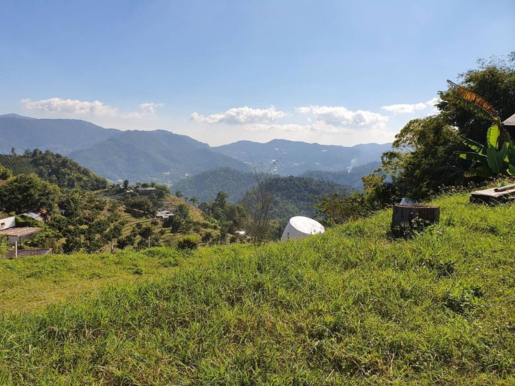 ขายที่ดินนอกเขตป่าฯ บนภูเขา ต.โป่งแยง อ.แม่ริม จ.เชียงใหม่