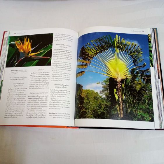 หนังสือ "1,000 มหัศจรรย์โลกธรรมชาติ" หนังสือปกแข็ง ใหม่เอี่ยม เหมาะกับการสะสม หรือใช้ค้นคว้า เด็กอ่านได้ ผู้ใหญ่อ่านดี ลดพิเศษมากกว่า 900บาท รูปที่ 12