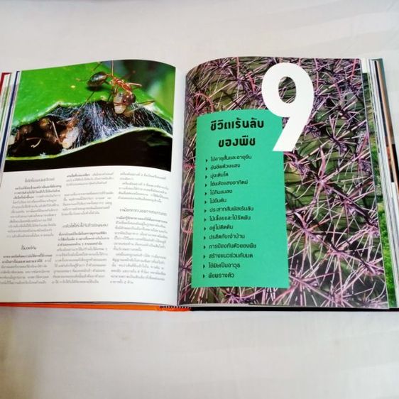 หนังสือ "1,000 มหัศจรรย์โลกธรรมชาติ" หนังสือปกแข็ง ใหม่เอี่ยม เหมาะกับการสะสม หรือใช้ค้นคว้า เด็กอ่านได้ ผู้ใหญ่อ่านดี ลดพิเศษมากกว่า 900บาท รูปที่ 11