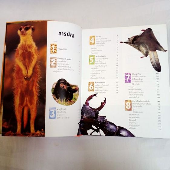 หนังสือ "1,000 มหัศจรรย์โลกธรรมชาติ" หนังสือปกแข็ง ใหม่เอี่ยม เหมาะกับการสะสม หรือใช้ค้นคว้า เด็กอ่านได้ ผู้ใหญ่อ่านดี ลดพิเศษมากกว่า 900บาท รูปที่ 4