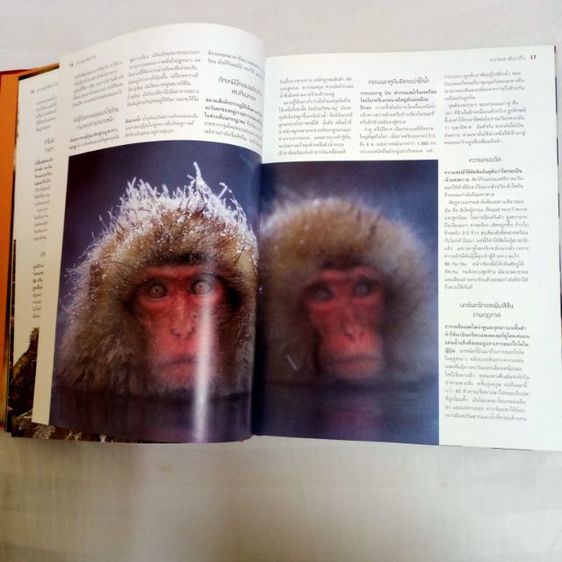 หนังสือ "1,000 มหัศจรรย์โลกธรรมชาติ" หนังสือปกแข็ง ใหม่เอี่ยม เหมาะกับการสะสม หรือใช้ค้นคว้า เด็กอ่านได้ ผู้ใหญ่อ่านดี ลดพิเศษมากกว่า 900บาท รูปที่ 6