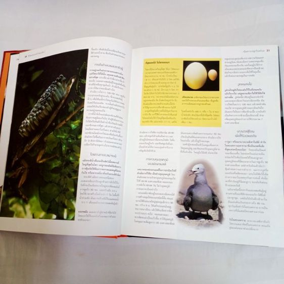 หนังสือ "1,000 มหัศจรรย์โลกธรรมชาติ" หนังสือปกแข็ง ใหม่เอี่ยม เหมาะกับการสะสม หรือใช้ค้นคว้า เด็กอ่านได้ ผู้ใหญ่อ่านดี ลดพิเศษมากกว่า 900บาท รูปที่ 7