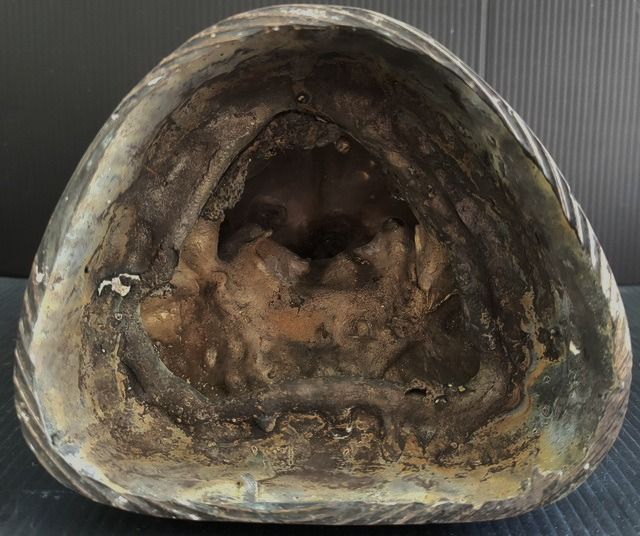 หลวงปู่ทวด วัดป่าแสงธรรมฯ โคราช รูปที่ 9