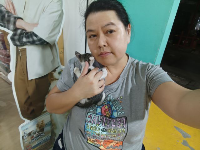 ลูกแมว  2 เดือน รูปที่ 11