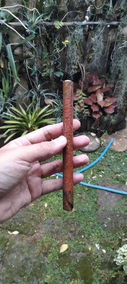 ตะกรุดหลวงพ่อโม วัดจันทาราม ชัยนาท 7 นิ้ว 5 รอบ