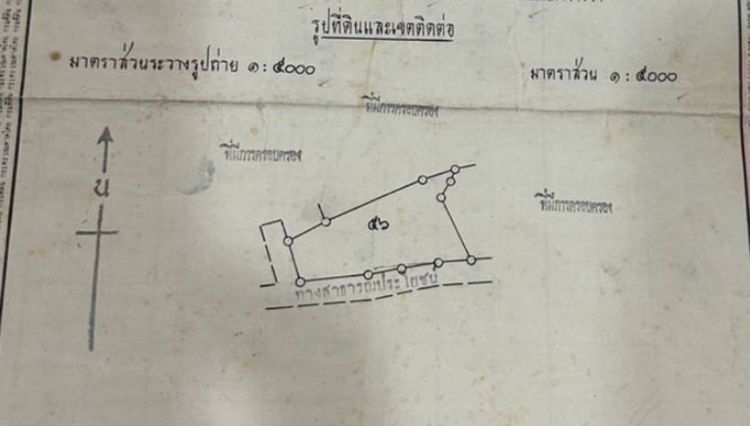 ขายด่วนถูกๆ ที่ดิน ต.วังไทร ปากช่อง..นส 3 ก