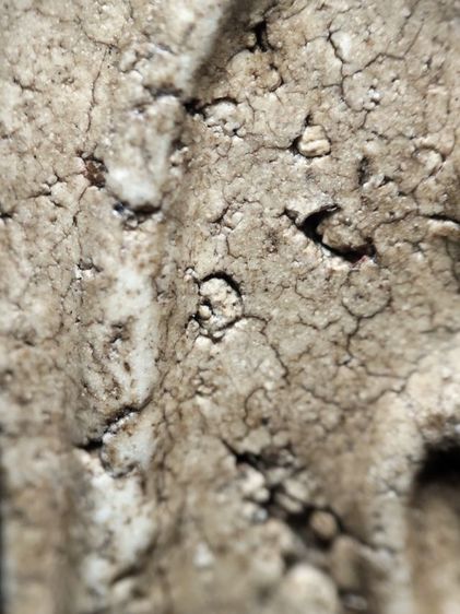 พระสมเด็จครับ รูปที่ 7