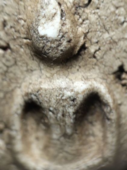 พระสมเด็จครับ รูปที่ 5