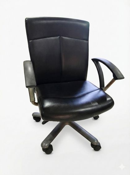 เก้าอี้หนัง