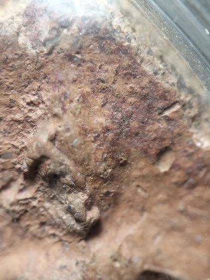 พระเนื้อดินวัดกระชายอยุธยาครับ รูปที่ 4