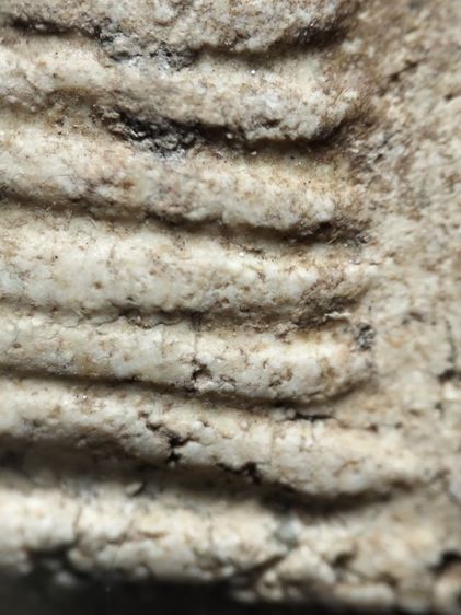 พระสมเด็จวัดเกศสภาพเก็บเก่าครับ รูปที่ 14