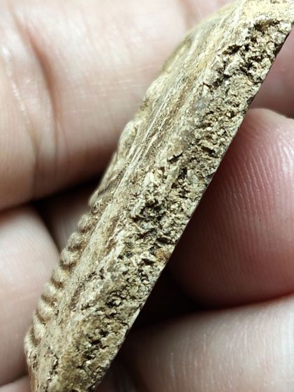 พระสมเด็จวัดเกศสภาพเก็บเก่าครับ รูปที่ 8