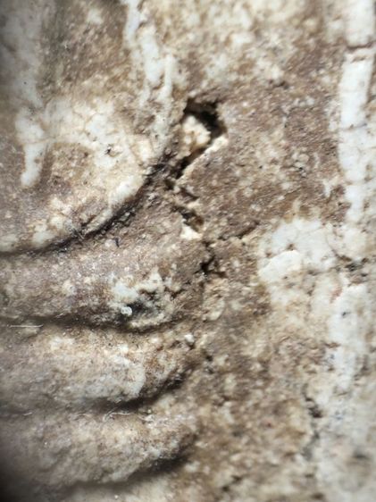 พระสมเด็จวัดเกศสภาพเก็บเก่าครับ รูปที่ 13