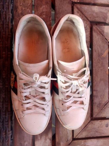 รองเท้า Gucci เสือ 