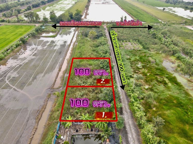 ที่ดินคลอง 11 หนองเสือ ปทุมธานี แปลงเล็กราคาถูก 100 ตรว. เพียง 360,000 บาท รูปที่ 3