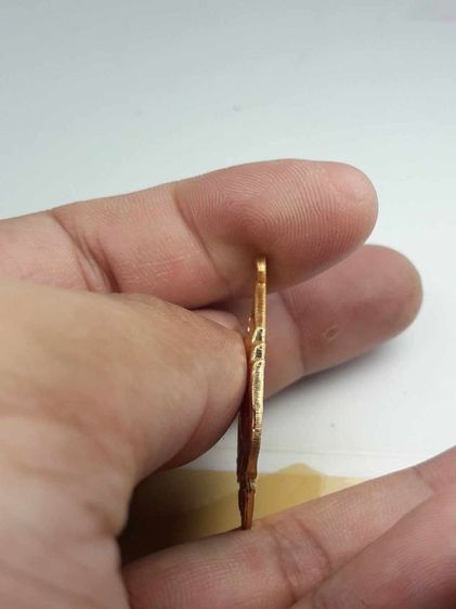 tเหรียญหลวงพ่อรุ่งวัดท่ากระบือ รูปที่ 3