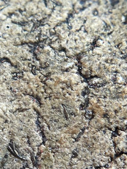 พระสมเด็จวัดระฆังพิมพ์ใหญ่กรอบกระจกเนื้อเก่าสวย โรยผงตะไบทอง พุทธคุณเด่น เมตตา-มหาโชค รูปที่ 14