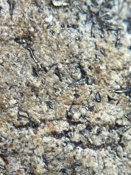 พระสมเด็จวัดระฆังพิมพ์ใหญ่กรอบกระจกเนื้อเก่าสวย โรยผงตะไบทอง พุทธคุณเด่น เมตตา-มหาโชค รูปที่ 13