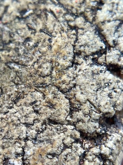 พระสมเด็จวัดระฆังพิมพ์ใหญ่กรอบกระจกเนื้อเก่าสวย โรยผงตะไบทอง พุทธคุณเด่น เมตตา-มหาโชค รูปที่ 16