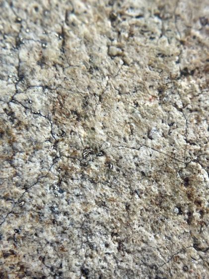 พระสมเด็จวัดระฆังพิมพ์ใหญ่ ไม่ตัดขอบเนื้อหาเก่าสวยเป็นธรรมชาติน่าเก็บสะสม พุทธคุณเด่น เมตตา-มหาโชค รูปที่ 16