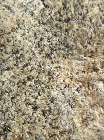 พระสมเด็จวัดระฆังพิมพ์ใหญ่ ไม่ตัดขอบเนื้อหาเก่าสวยเป็นธรรมชาติน่าเก็บสะสม พุทธคุณเด่น เมตตา-มหาโชค รูปที่ 12