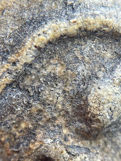 พระสมเด็จวัดระฆังพิมพ์ใหญ่ ไม่ตัดขอบเนื้อเก่าสวยสุดสุด พุทธคุณเด่น เมตตา-มหาโชค รูปที่ 6