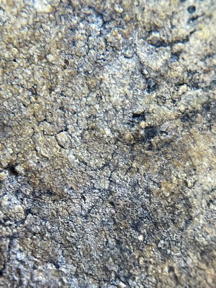 พระสมเด็จวัดระฆังพิมพ์ใหญ่ ไม่ตัดขอบเนื้อเก่าสวยสุดสุด พุทธคุณเด่น เมตตา-มหาโชค รูปที่ 16