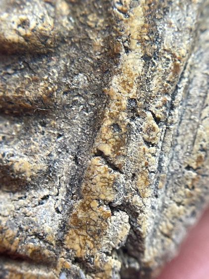 พระสมเด็จวัดระฆังพิมพ์ใหญ่ ไม่ตัดขอบเนื้อเก่าสวยสุดสุด พุทธคุณเด่น เมตตา-มหาโชค รูปที่ 12