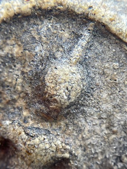 พระสมเด็จวัดระฆังพิมพ์ใหญ่ ไม่ตัดขอบเนื้อเก่าสวยสุดสุด พุทธคุณเด่น เมตตา-มหาโชค รูปที่ 7