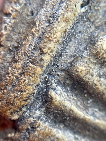 พระสมเด็จวัดระฆังพิมพ์ใหญ่ ไม่ตัดขอบเนื้อเก่าสวยสุดสุด พุทธคุณเด่น เมตตา-มหาโชค รูปที่ 11