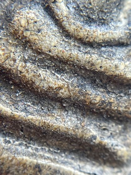 พระสมเด็จวัดระฆังพิมพ์ใหญ่ ไม่ตัดขอบเนื้อเก่าสวยสุดสุด พุทธคุณเด่น เมตตา-มหาโชค รูปที่ 10