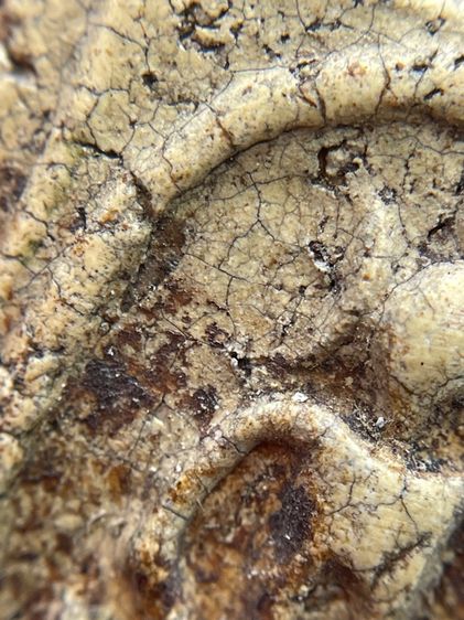 พระสมเด็จพิมพ์เกศไชโย 7 ชั้นเนื้อเก่าสวยเป็นธรรมชาติ พุทธคุณเด่น เมตตา-มหาโชค รูปที่ 7